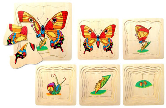 Learn the life cycle of the butterfly with this fun layer puzzle from Fun Factory. The first layer is a two piece puzzle of pupae. The second layer is three pieces showing a cocoon. The third layer is four pieces and shows the butterfly emerging. The fourth layer is five pieces and you can see the butterfly form.

The top layer is six pieces and shows the brilliantly coloured butterfly.