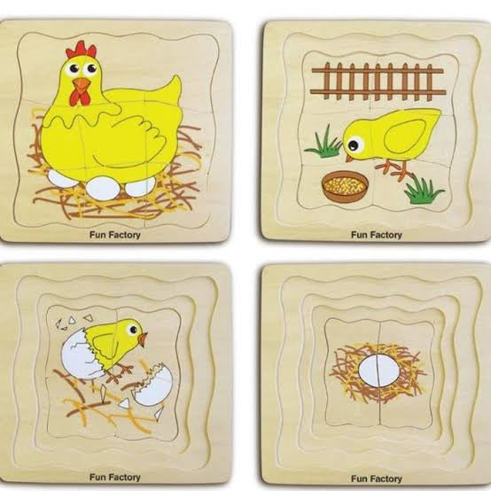 Children can learn about the lifecycle of a chicken with this educational and fun 4 layer chicken puzzle